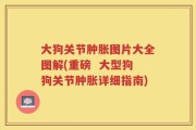大狗关节肿胀图片大全图解(重磅  大型狗狗关节肿胀详细指南)