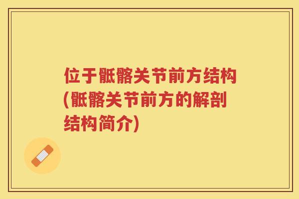 位于骶髂关节前方结构(骶髂关节前方的解剖结构简介)