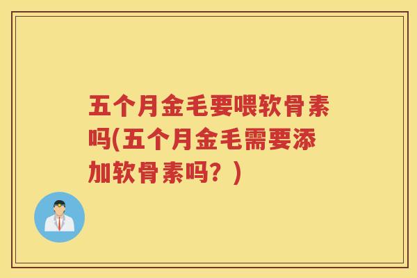 五个月金毛要喂软骨素吗(五个月金毛需要添加软骨素吗？)