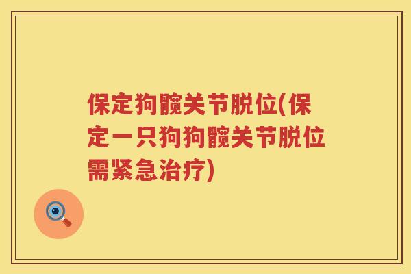 保定狗髋关节脱位(保定一只狗狗髋关节脱位需紧急)