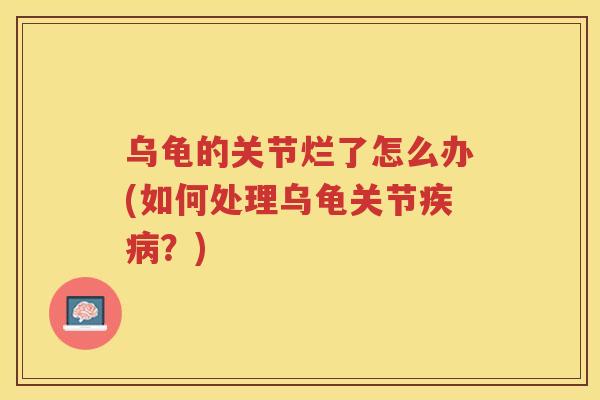 乌龟的关节烂了怎么办(如何处理乌龟关节？)