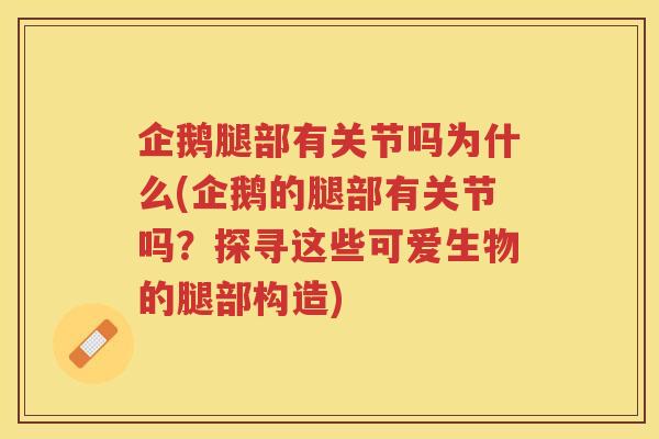 企鹅腿部有关节吗为什么(企鹅的腿部有关节吗？探寻这些可爱生物的腿部构造)