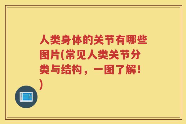 人类身体的关节有哪些图片(常见人类关节分类与结构，一图了解！)
