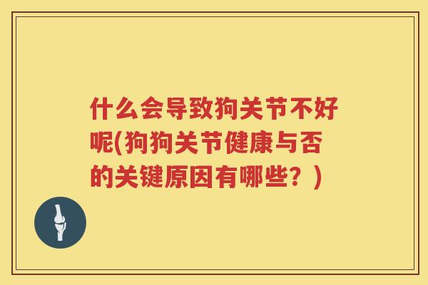 什么会导致狗关节不好呢(狗狗关节健康与否的关键原因有哪些?) 什么会导致狗关节不好呢(狗狗关节健康与否的关键原因有哪些?)