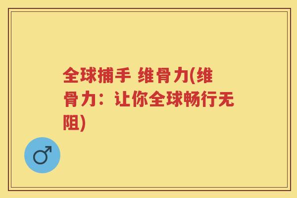 全球捕手 维骨力(维骨力：让你全球畅行无阻)