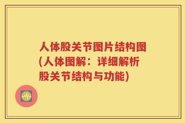 人体股关节图片结构图(人体图解:详细解析股关节结构与功能) 人体股关节图片结构图(人体图解:详细解析股关节结构与功能)