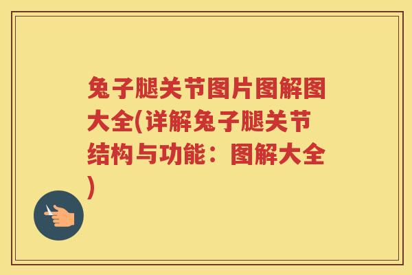 兔子腿关节图片图解图大全(详解兔子腿关节结构与功能:图解大全) 兔子腿关节图片图解图大全(详解兔子腿关节结构与功能:图解大全)