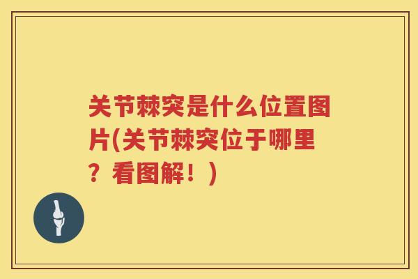 关节棘突是什么位置图片(关节棘突位于哪里?看图解!) 关节棘突是什么位置图片(关节棘突位于哪里?看图解!)