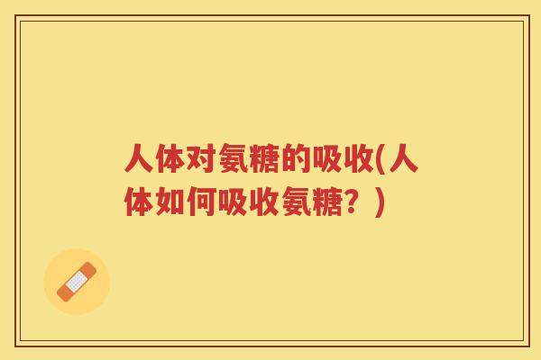 人体对氨糖的吸收(人体如何吸收氨糖？)