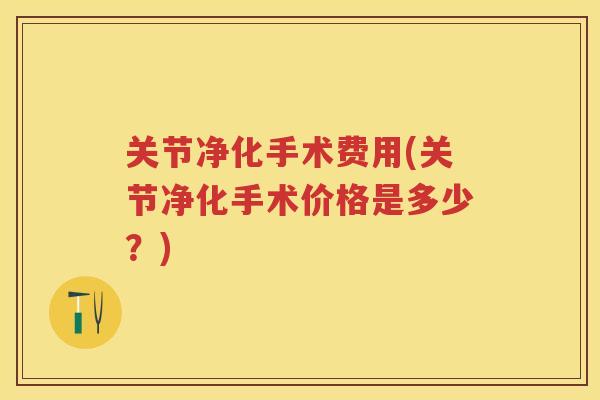 关节净化手术费用(关节净化手术价格是多少？)