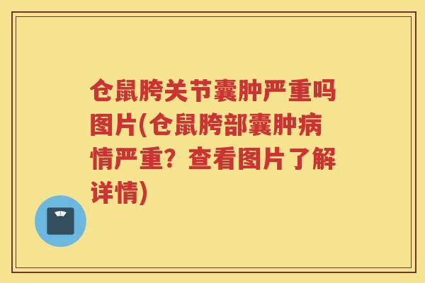 仓鼠胯关节囊肿严重吗图片(仓鼠胯部囊肿情严重？查看图片了解详情)
