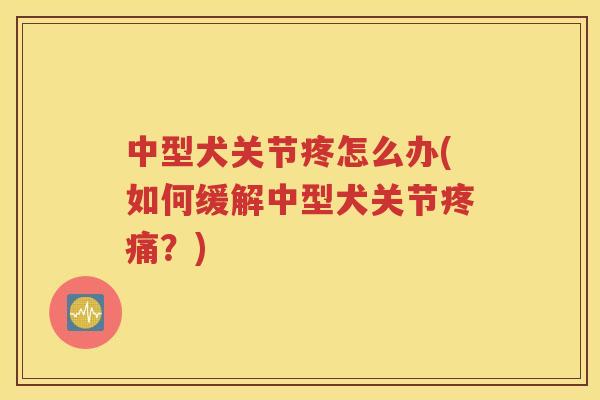 中型犬关节疼怎么办(如何缓解中型犬关节？)