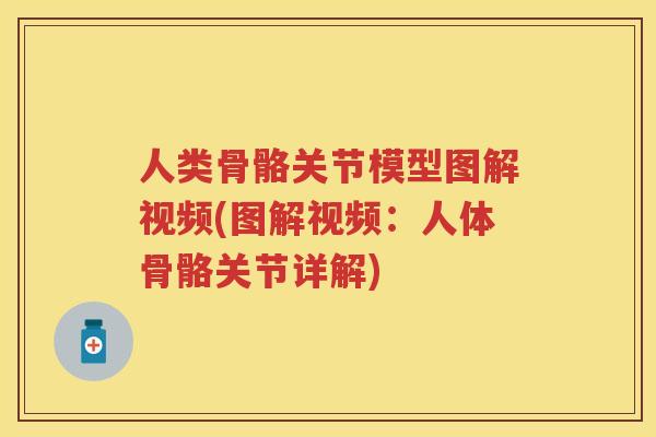 人类骨骼关节模型图解视频(图解视频：人体骨骼关节详解)