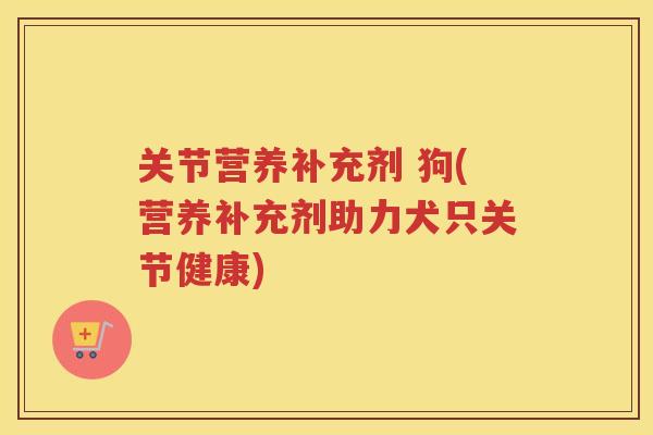 关节营养补充剂 狗(营养补充剂助力犬只关节健康)