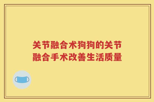 关节融合术狗狗的关节融合手术改善生活质量