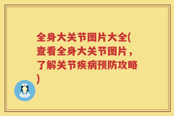 全身大关节图片大全(查看全身大关节图片，了解关节攻略)