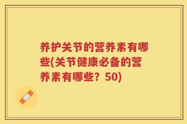 养护关节的营养素有哪些(关节健康必备的营养素有哪些？50)