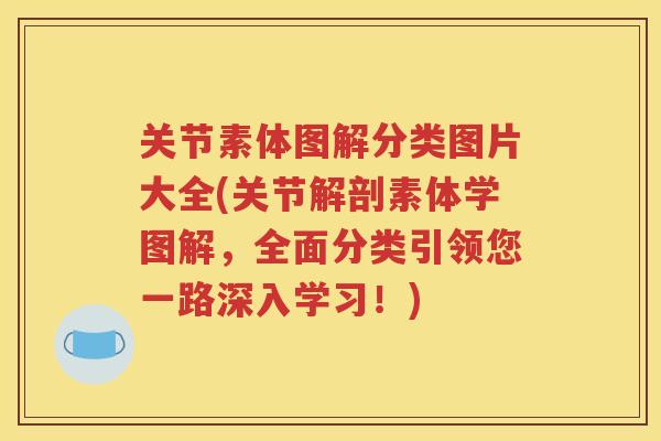 关节素体图解分类图片大全(关节解剖素体学图解，全面分类引领您一路深入学习！)