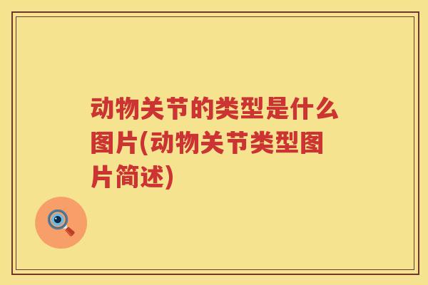 动物关节的类型是什么图片(动物关节类型图片简述)