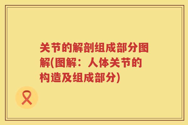关节的解剖组成部分图解(图解：人体关节的构造及组成部分)