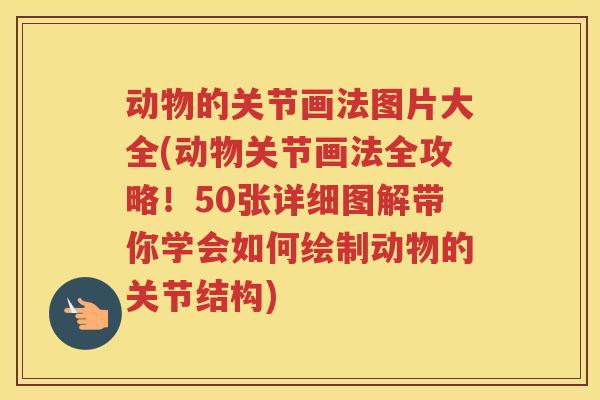 动物的关节画法图片大全(动物关节画法全攻略！50张详细图解带你学会如何绘制动物的关节结构)