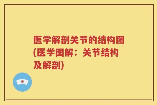 医学解剖关节的结构图(医学图解：关节结构及解剖)