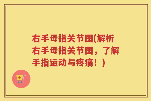 右手母指关节图(解析右手母指关节图，了解手指运动与！)