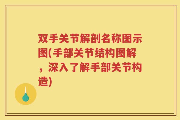 双手关节解剖名称图示图(手部关节结构图解，深入了解手部关节构造)