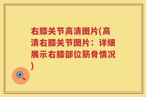 右膝关节高清图片(高清右膝关节图片:详细展示右膝部位筋骨情况) 右膝关节高清图片(高清右膝关节图片:详细展示右膝部位筋骨情况)