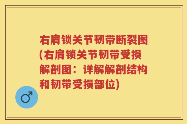 右肩锁关节韧带断裂图(右肩锁关节韧带受损解剖图：详解解剖结构和韧带受损部位)
