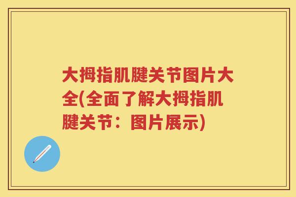 大拇指肌腱关节图片大全(全面了解大拇指肌腱关节:图片展示) 大拇指肌腱关节图片大全(全面了解大拇指肌腱关节:图片展示)