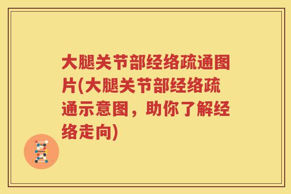 大腿关节部经络疏通图片(大腿关节部经络疏通示意图，助你了解经络走向)