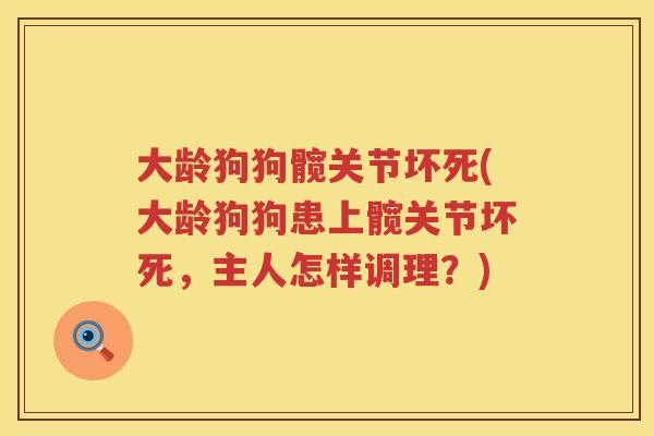 大龄狗狗髋关节坏死(大龄狗狗患上髋关节坏死,主人怎样调理?) 大龄狗狗髋关节坏死(大龄狗狗患上髋关节坏死,主人怎样调理?)