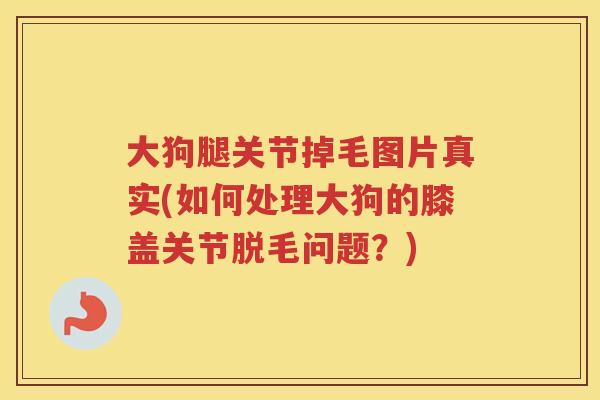 大狗腿关节掉毛图片真实(如何处理大狗的膝盖关节脱毛问题?) 大狗腿关节掉毛图片真实(如何处理大狗的膝盖关节脱毛问题?)