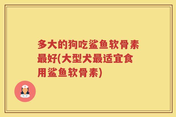 多大的狗吃鲨鱼软骨素好(大型犬适宜食用鲨鱼软骨素) 多大的狗吃鲨鱼软骨素好(大型犬适宜食用鲨鱼软骨素)