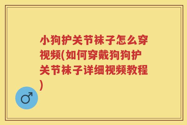 小狗护关节袜子怎么穿视频(如何穿戴狗狗护关节袜子详细视频教程) 小狗护关节袜子怎么穿视频(如何穿戴狗狗护关节袜子详细视频教程)