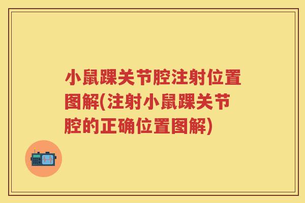小鼠踝关节腔注射位置图解(注射小鼠踝关节腔的正确位置图解) 小鼠踝关节腔注射位置图解(注射小鼠踝关节腔的正确位置图解)