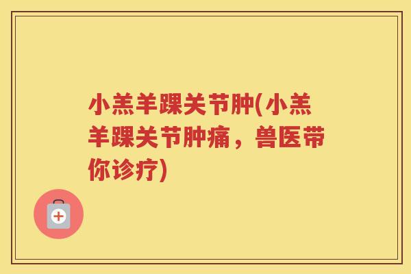 小羔羊踝关节肿(小羔羊踝关节肿痛,兽医带你诊疗) 小羔羊踝关节肿(小羔羊踝关节肿痛,兽医带你诊疗)