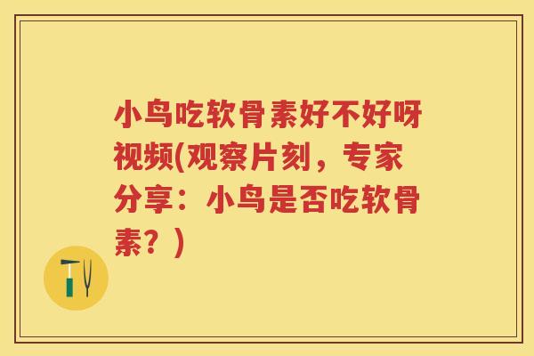 小鸟吃软骨素好不好呀视频(观察片刻，专家分享：小鸟是否吃软骨素？)