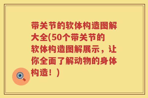 带关节的软体构造图解大全(50个带关节的软体构造图解展示,让你全面了解动物的身体构造!) 带关节的软体构造图解大全(50个带关节的软体构造图解展示,让你全面了解动物的身体构造!)