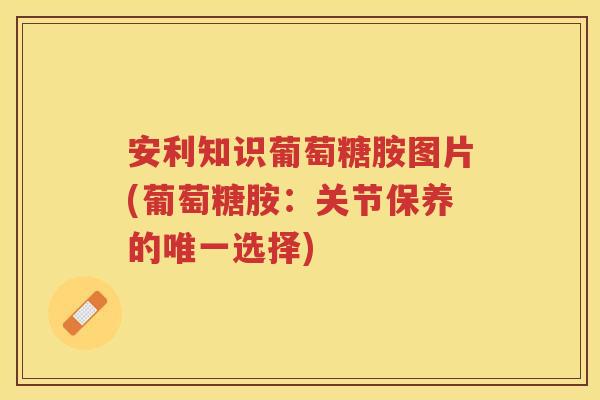 安利知识葡萄糖胺图片(葡萄糖胺:关节保养的选择) 安利知识葡萄糖胺图片(葡萄糖胺:关节保养的选择)