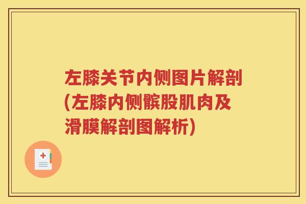 左膝关节内侧图片解剖(左膝内侧髌股肌肉及滑膜解剖图解析) 左膝关节内侧图片解剖(左膝内侧髌股肌肉及滑膜解剖图解析)