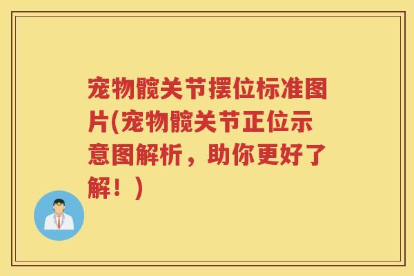 宠物髋关节摆位标准图片(宠物髋关节正位示意图解析,助你更好了解!) 宠物髋关节摆位标准图片(宠物髋关节正位示意图解析,助你更好了解!)