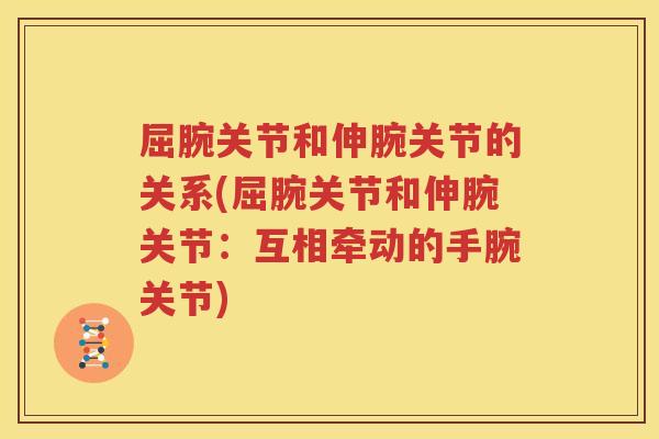 屈腕关节和伸腕关节的关系(屈腕关节和伸腕关节:互相牵动的手腕关节) 屈腕关节和伸腕关节的关系(屈腕关节和伸腕关节:互相牵动的手腕关节)