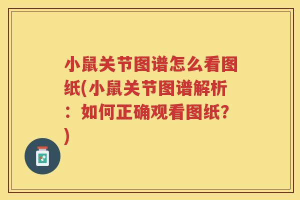小鼠关节图谱怎么看图纸(小鼠关节图谱解析：如何正确观看图纸？)