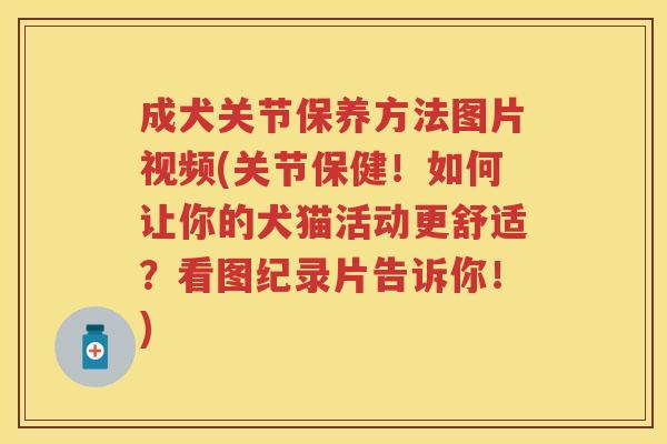 成犬关节保养方法图片视频(关节保健！如何让你的犬猫活动更舒适？看图纪录片告诉你！)