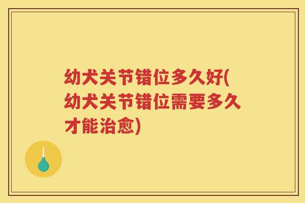 幼犬关节错位多久好(幼犬关节错位需要多久才能愈)