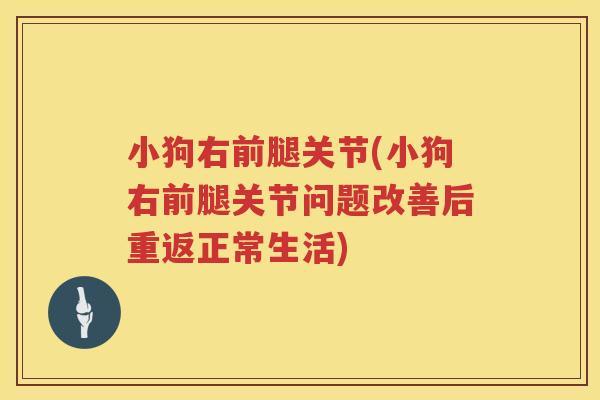 小狗右前腿关节(小狗右前腿关节问题改善后重返正常生活) 小狗右前腿关节(小狗右前腿关节问题改善后重返正常生活)