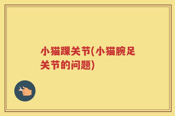 小猫踝关节(小猫腕足关节的问题) 小猫踝关节(小猫腕足关节的问题)