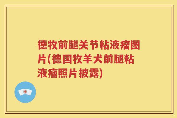 德牧前腿关节粘液瘤图片(德国牧羊犬前腿粘液瘤照片披露) 德牧前腿关节粘液瘤图片(德国牧羊犬前腿粘液瘤照片披露)